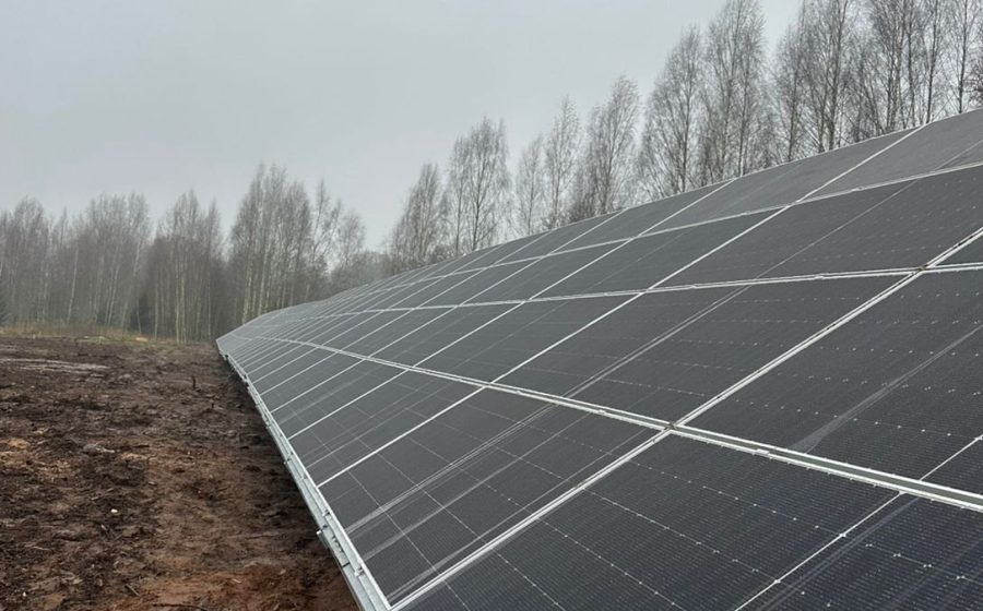 Abjamõisa päikesepargi päikesepaneelide rida kasesalu ääres